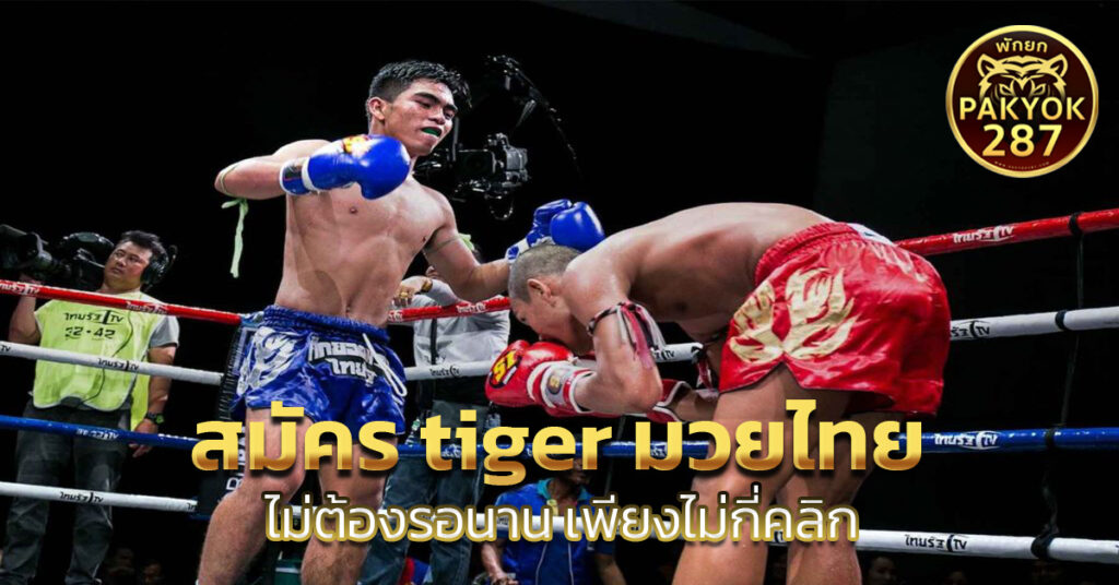 tiger มวยไทย