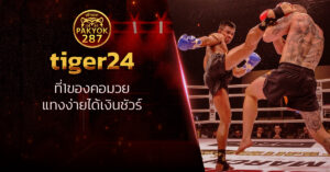 tiger24