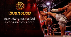 เว็บแทงมวย