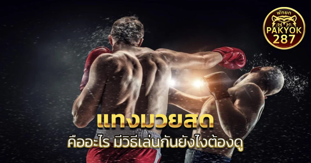 แทงมวยสด