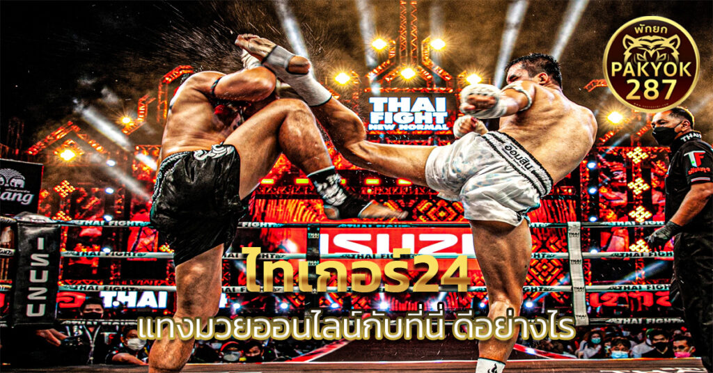 ไทเกอร์24