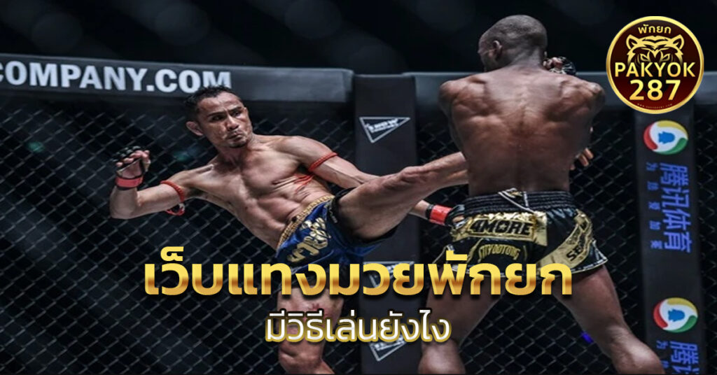 เว็บแทงมวยพักยก