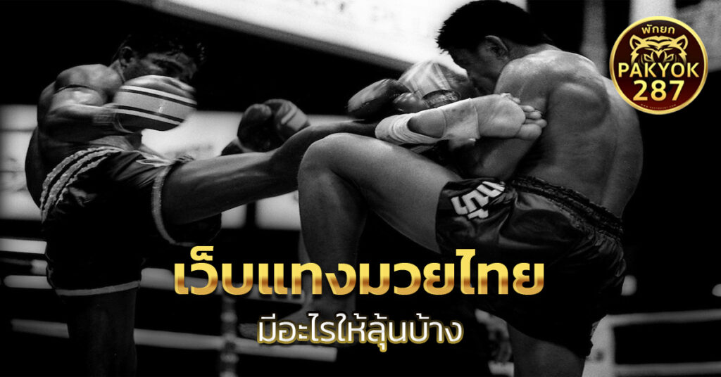 เว็บแทงมวยไทย