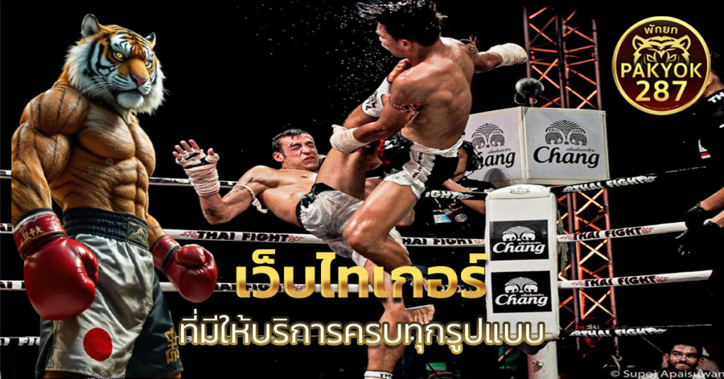 เว็บไทเกอร์