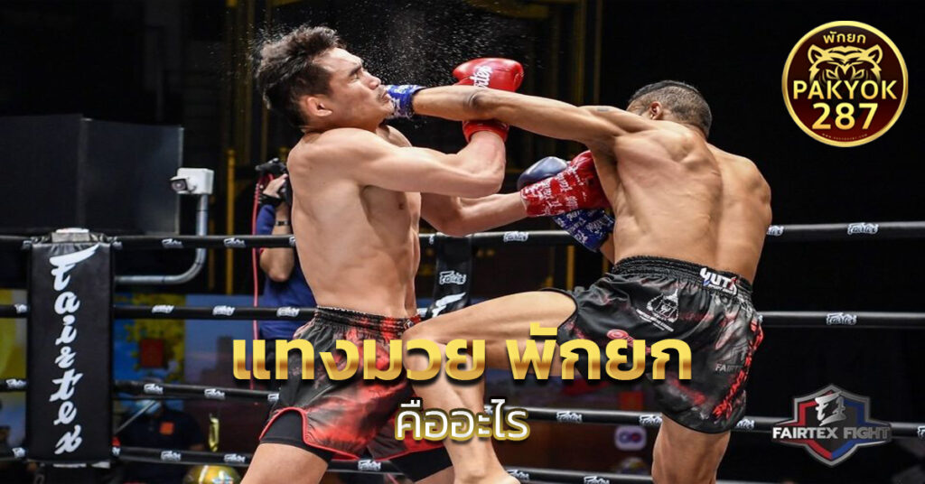 แทงมวย พักยก