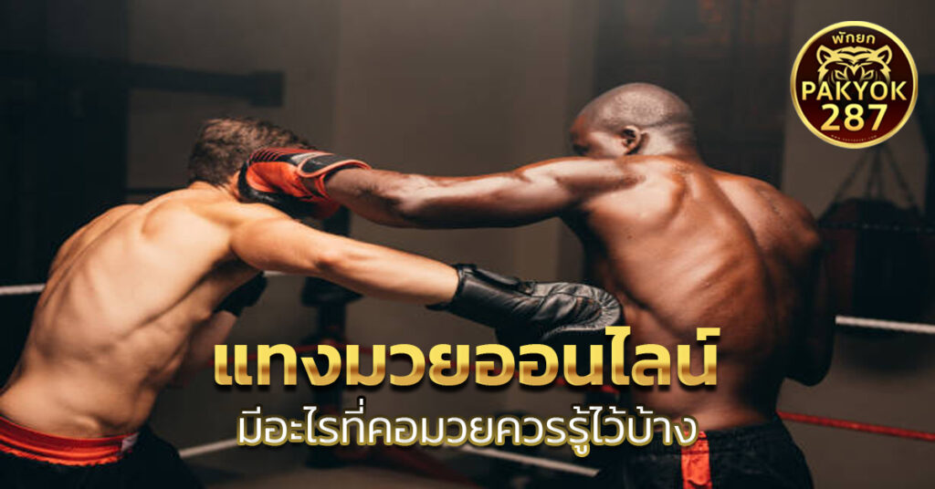 แทงมวยออนไลน์