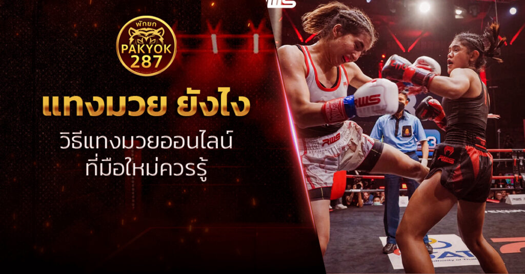 แทงมวย ยังไง