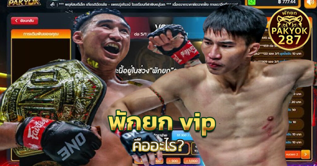 พักยก vip 