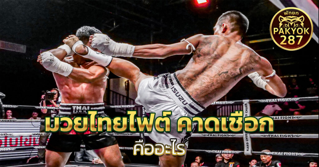 มวยไทยไฟต์ คาดเชือก