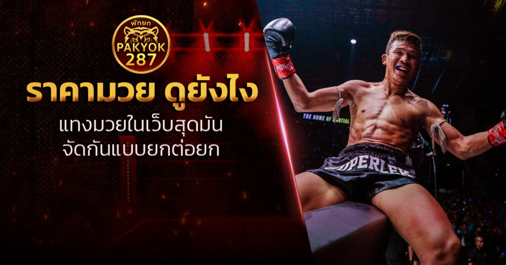 ราคามวย ดูยังไง