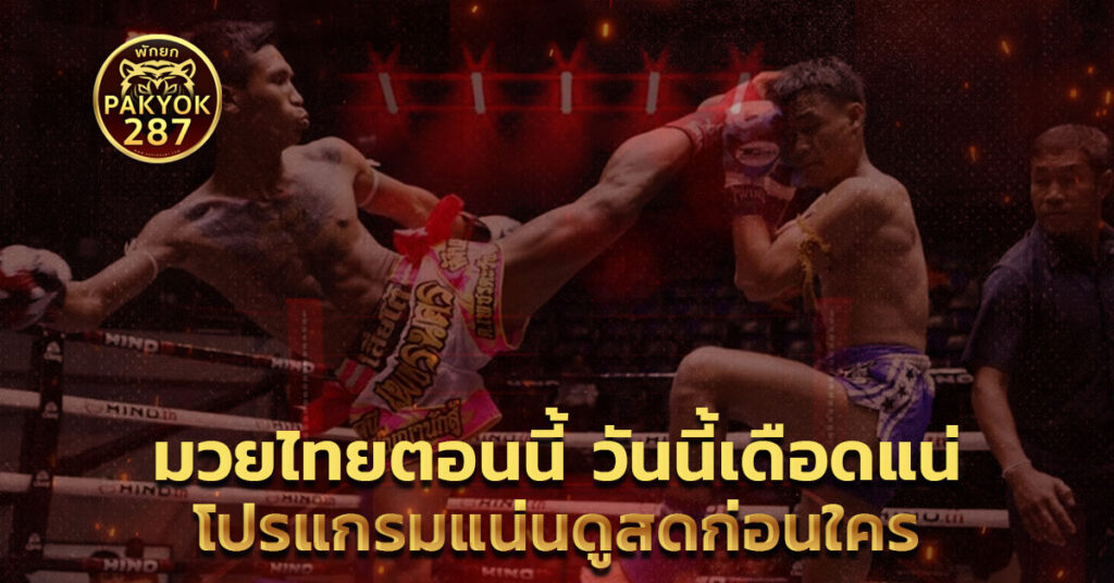 มวยไทยตอนนี้