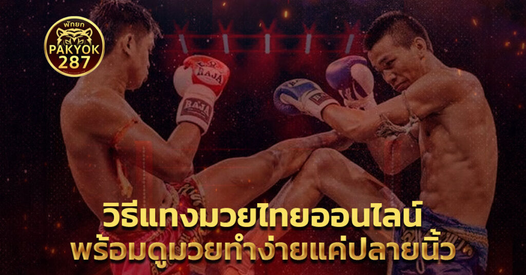 วิธีแทง มวยไทยออนไลน์